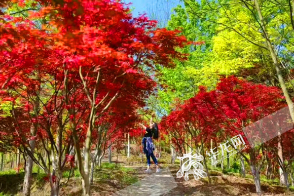 黄片电影 如果您有其他问题或需要帮助海报