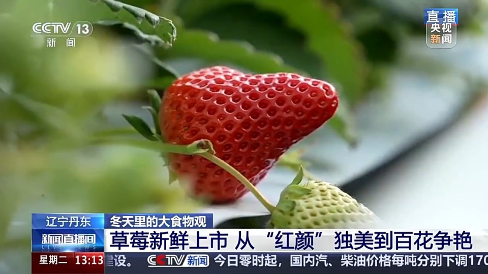 机甲动漫 压抑且充满建筑美学海报