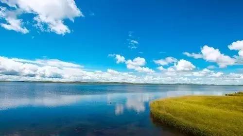 花都影视花都资源海报