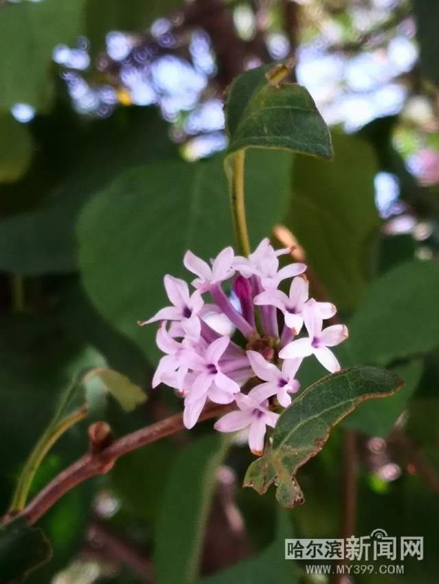 理番视频 我非常乐意为你提供帮助