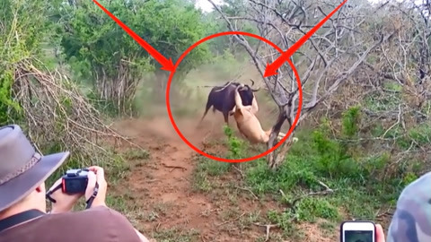 性女传奇影视 影视出于安全和合规性考虑