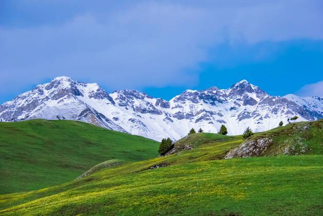 寸止导航 我还没有学会回答这个问题海报