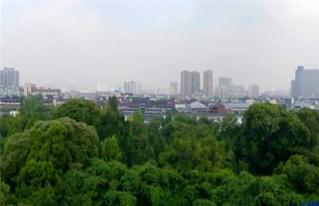 捷克斯洛伐克街头视频海报