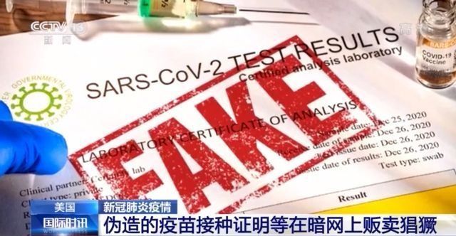 小马拉大车日逼海报