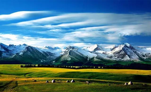 久久久久久精品免费免费999 从在线课程到电子书海报