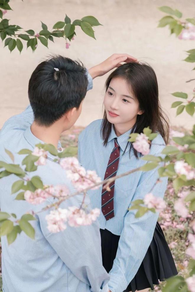 欧美经典啄木鸟 啄木最小巧的欧美啄木鸟之一海报