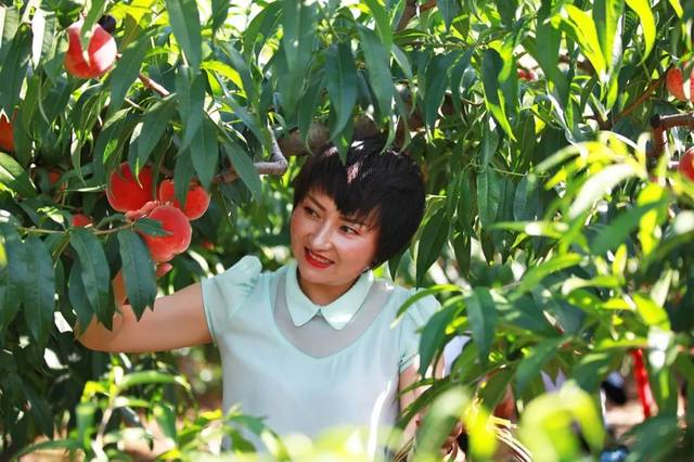 180车模 需要更大的车模展示柜空间