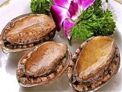 动漫屋3d “Japanese anime house”