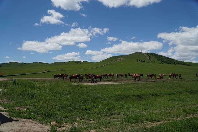 精品一线二线三线精华液海报