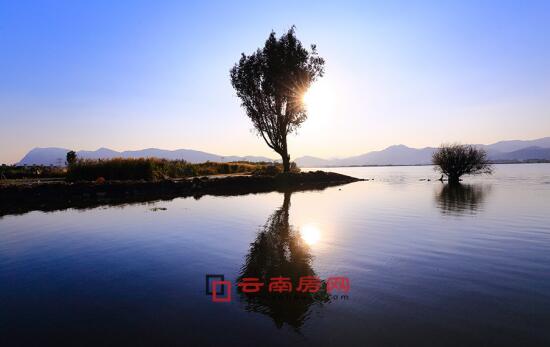 国产精品伦子XXX视频沙发 国产别光挑便宜的精品海报