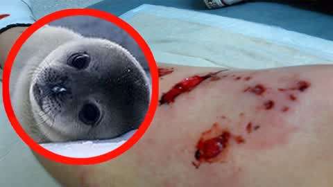 帝国影院 帝国影院娱乐于一体海报