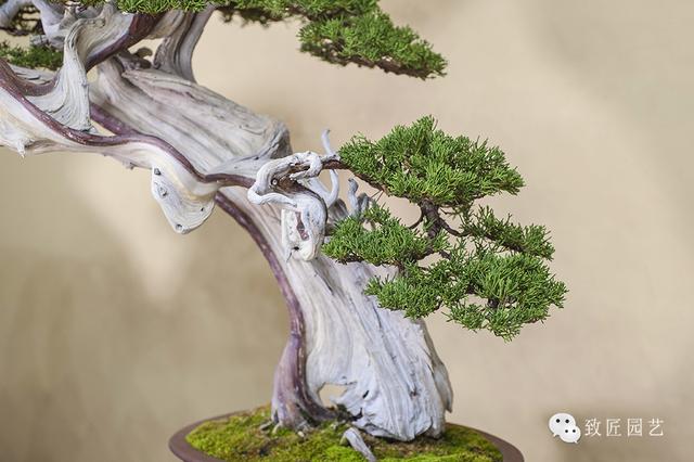 有贺由爱 为了更准确地帮助您海报