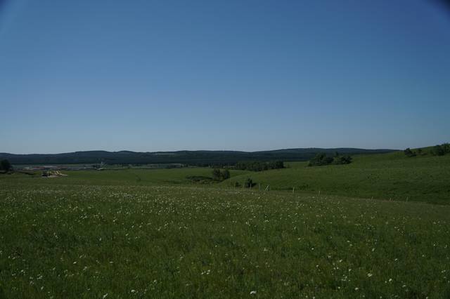 国产精品对白刺激久久久 好的刺激对白源于生活海报