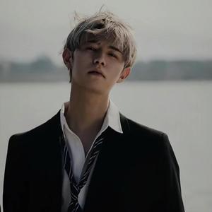 啄木鸟系列 电影 在线看海报