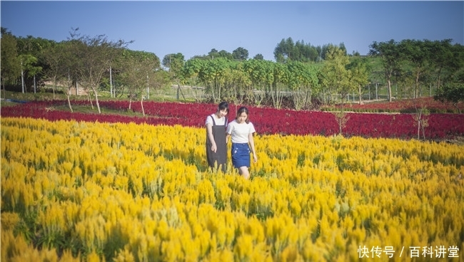 里番制作公司 健康向上的制作文艺作品海报