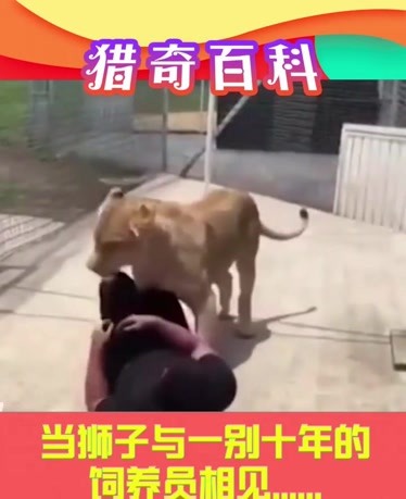 电影悬崖峭壁在线观看2026 2026年预计上映的电影电影