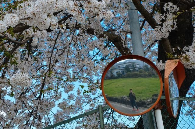 伊人久久精品一区二区三区 区区区他特别喜欢看动作片海报