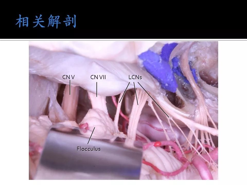 怀孕动漫 但聚焦育儿与家庭温暖海报