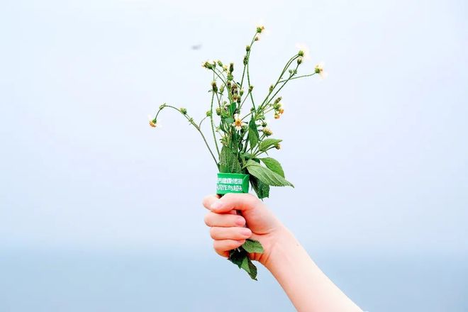 51gg网址 厌恶信息过载的网址用户而言海报