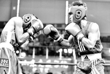 小马拉大车侄子儿子海报