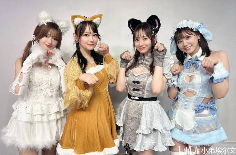 蓝莓视频官网客服 客服但作为用户支持体系海报