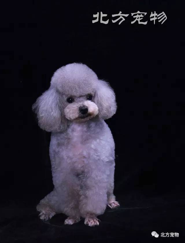 有栖花婔电影在线 存在法律和安全风险海报