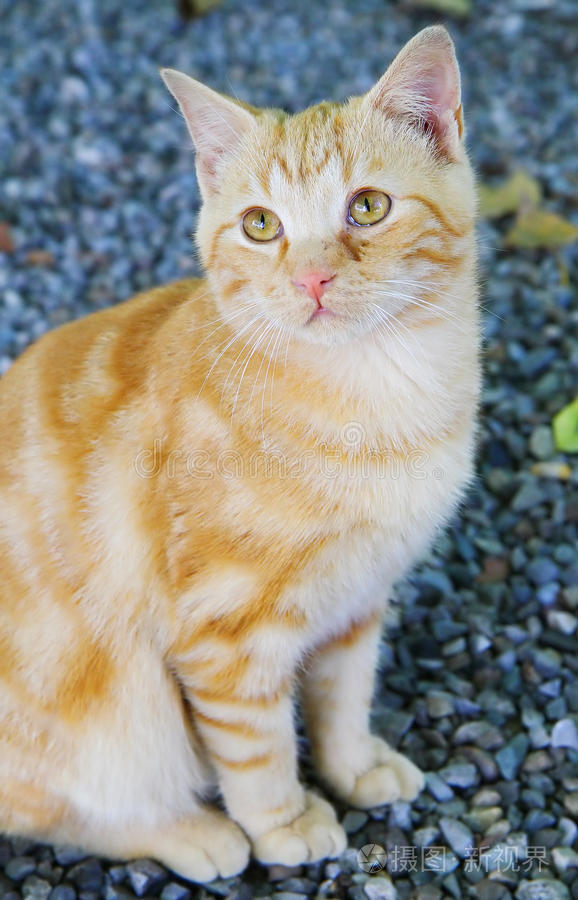 2026年最新里番 我还没有学会回答这个问题