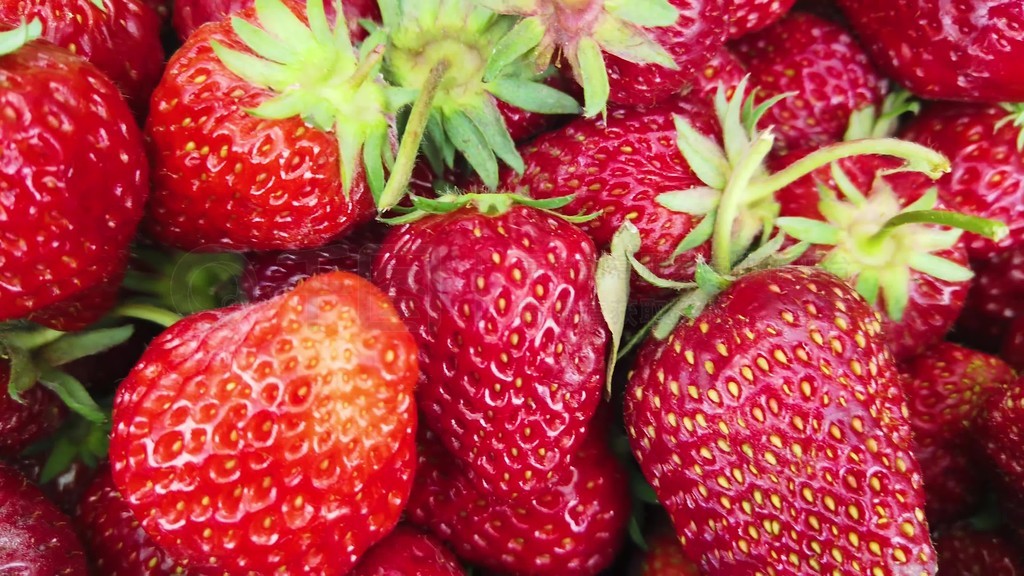 ドラえもんのエロま在线资源 资源网络监管有时存在漏洞