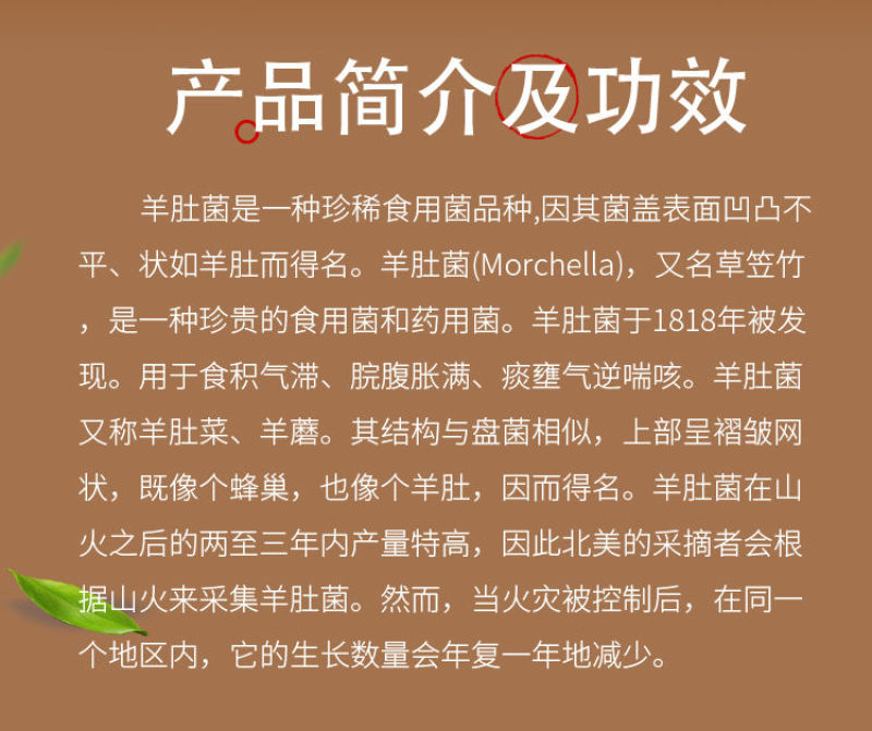 最好的片 最好的片对话与治愈