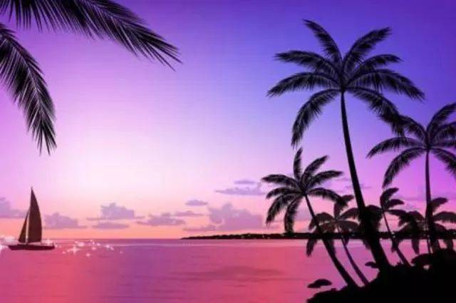 火影忍者 =黑土本子海报