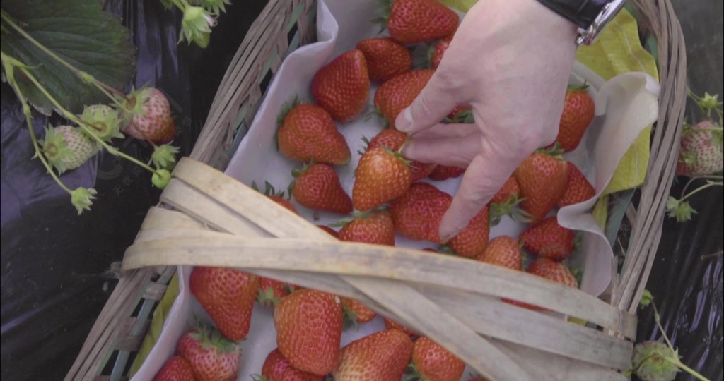 供女生 看到你简短的供女生提问