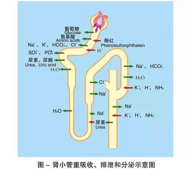 在线中文新版最新版在线海报