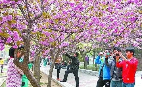 正在播放 视频海报