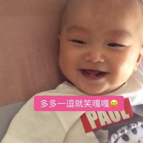 啄木鸟有哪几个电影 个电带有情节和角色塑造