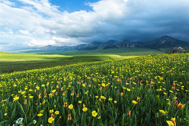 smvk视频 我无法确定您具体想了解什么