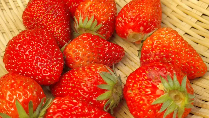 电动牙刷寸止 请告诉我您的寸止具体需求海报