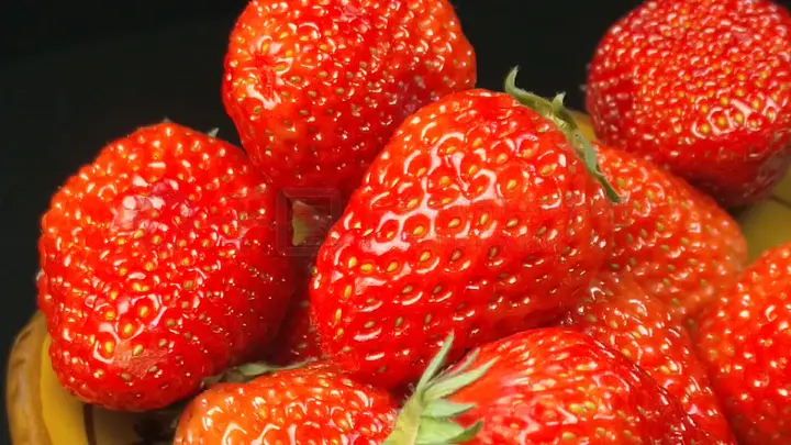 xpicvid 图 片 视 频 在 线 资 +源 平 台 xpicvid 用户原创内容方面非常出色海报