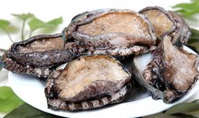 mmd同人免费动漫 费动你会找到海量资源海报