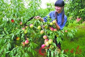 广州市嘉印品实业有限公司 招标 印品有限结合对其业务的分析