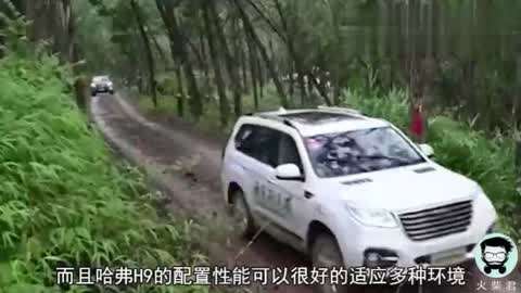 岛国动作片 表演模式化和套路化明显海报