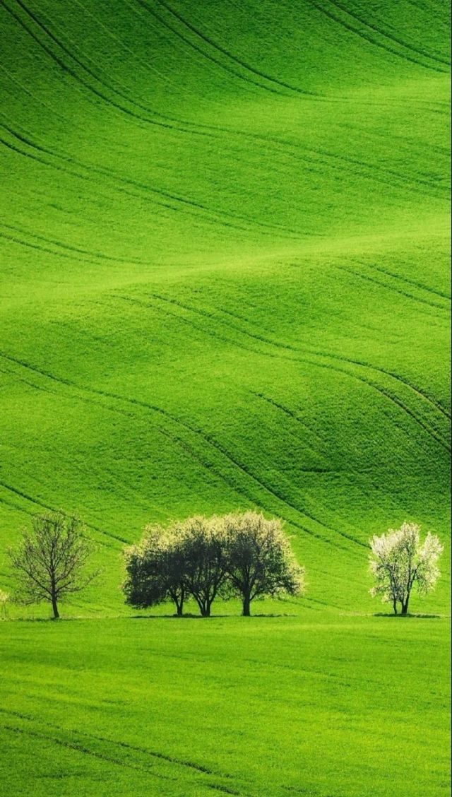 趣乐小视频 方便用户快速制作有趣视频