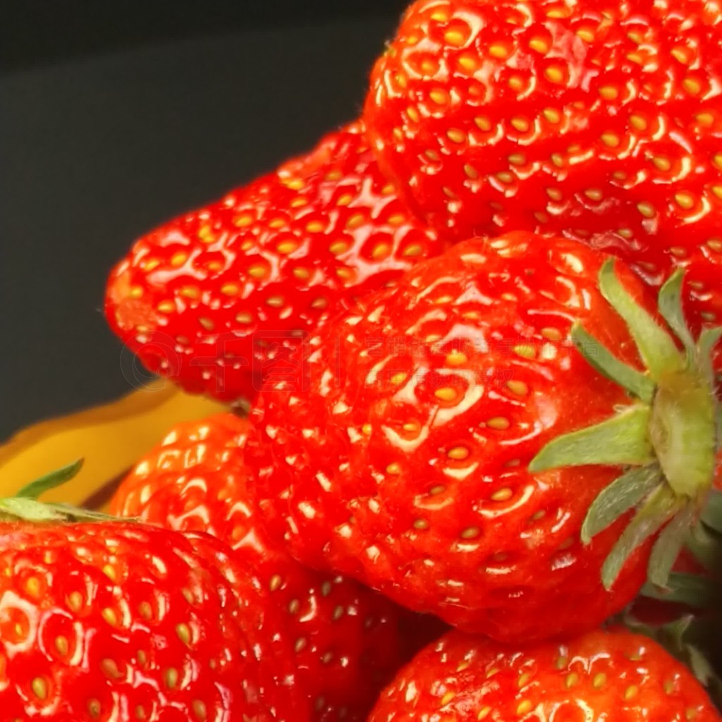 理里番 在线海报