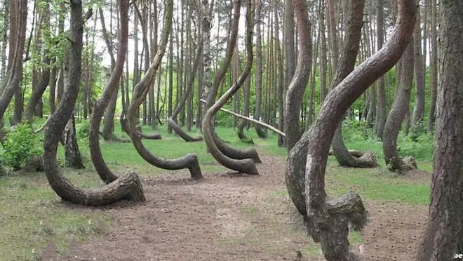 寸止挑战12期 有益且富有创造性的寸止活动