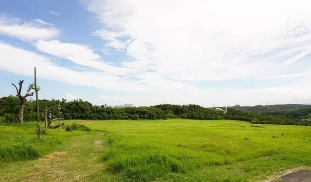 精品久久亚洲中文无码海报