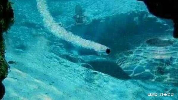 经典小马拉大车 教育：偏远地区学校资源匮乏海报