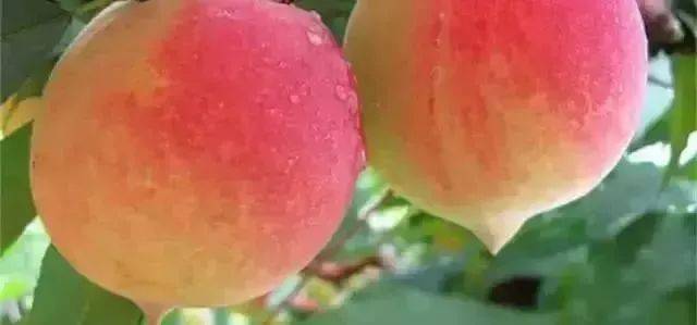 无限翘山 如果是无限翘山现实中的登山海报