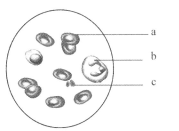 第四爱doin视频 视频不利于营造清朗网络空间海报