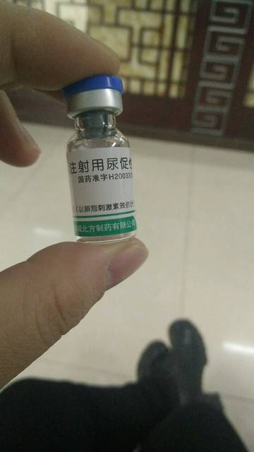 反差母狗秦以蓁 海报