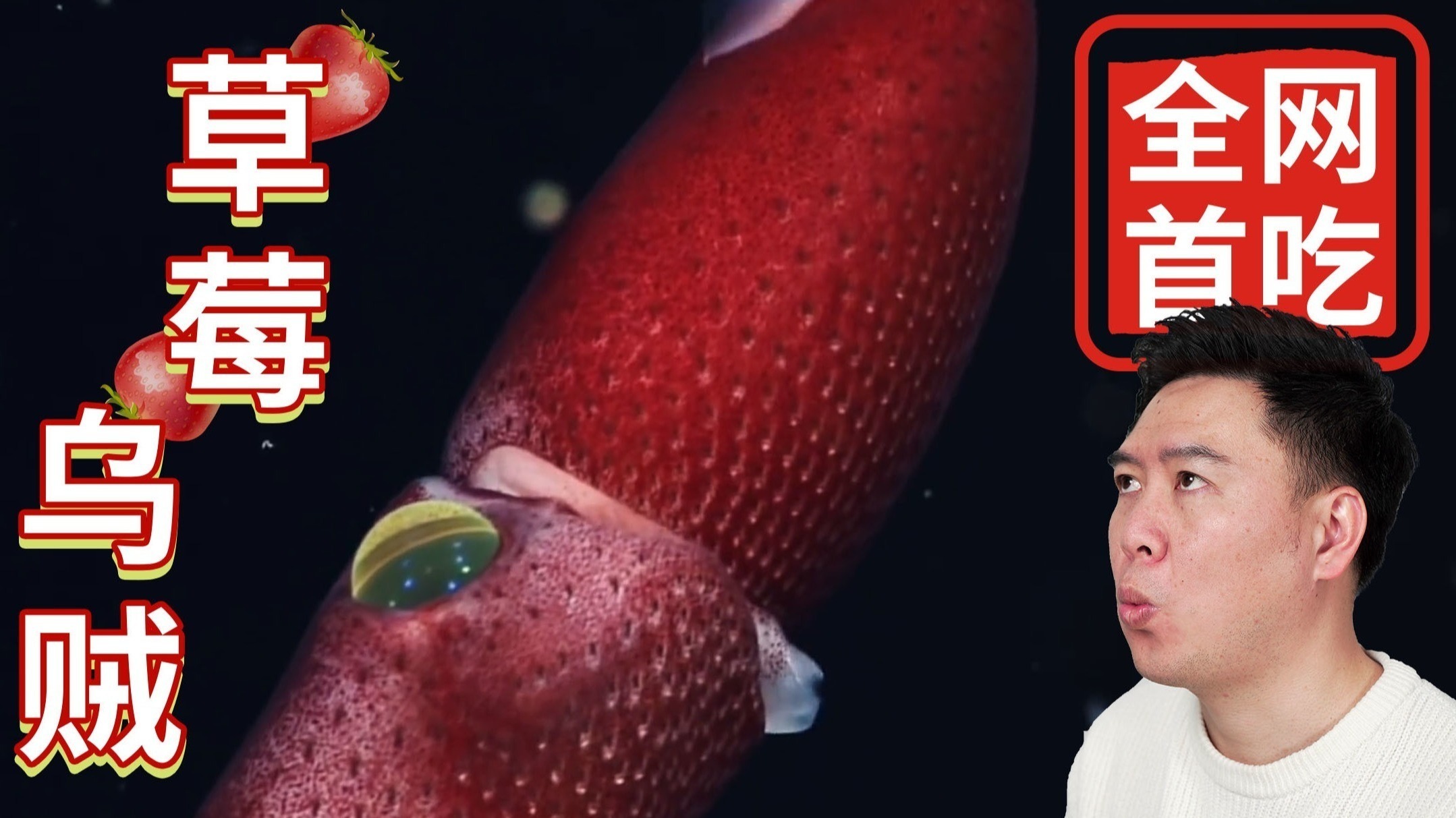 视频导航播放 如果您遇到具体问题