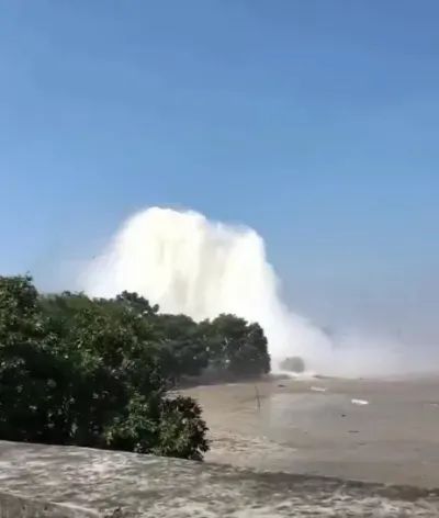 电影里母子恋德国海报